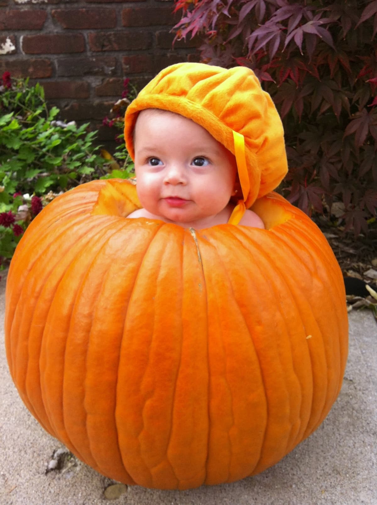 Baby with Halloween decorations